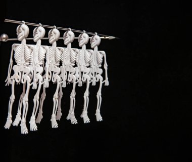 Siyah arka plandaki insan ve hayvanların iskeletleri ve iskeletleri tüm ölülerin değişiminin bir göstergesi olarak gösterilir.