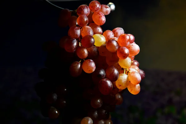 Still Life Golden Grapes Table Dark Background — Stock Photo, Image