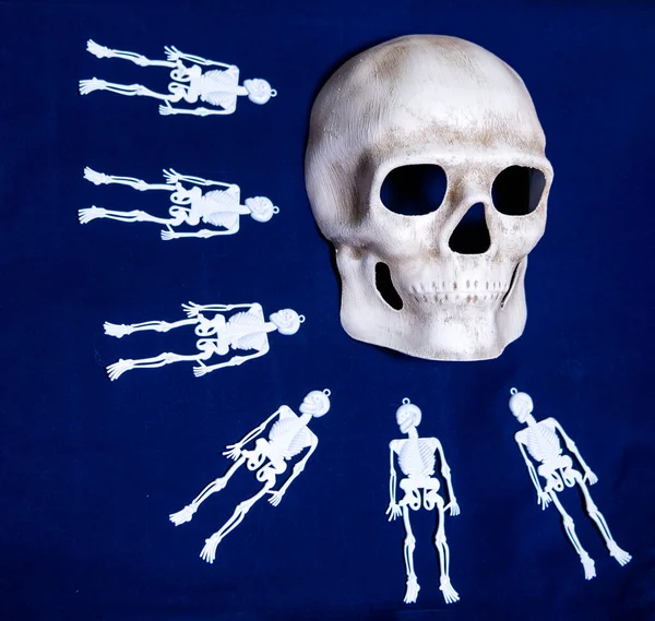 Czaszki Szkielety Ludzi Zwierząt Czarnym Tle Jako Atrybut Święta Przemiany — Zdjęcie stockowe
