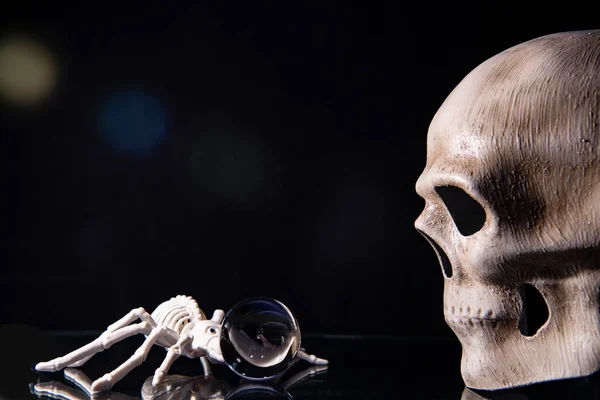 skull and skeletons of people and animals on a black background as an attribute of the holiday of the change of all the dead