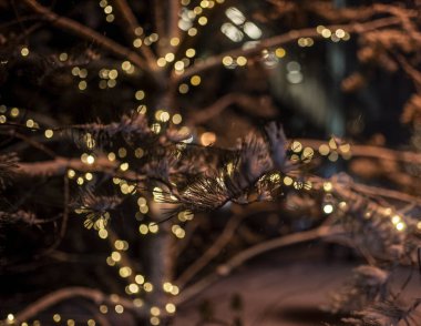 Kış başlangıcındaki ilk kardan sonra bir şehir parkında kış manzarası