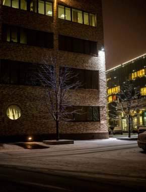 Kış başlangıcındaki ilk kardan sonra bir şehir parkında kış manzarası