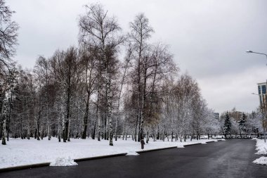 Kış başlangıcındaki ilk kardan sonra bir şehir parkında kış manzarası