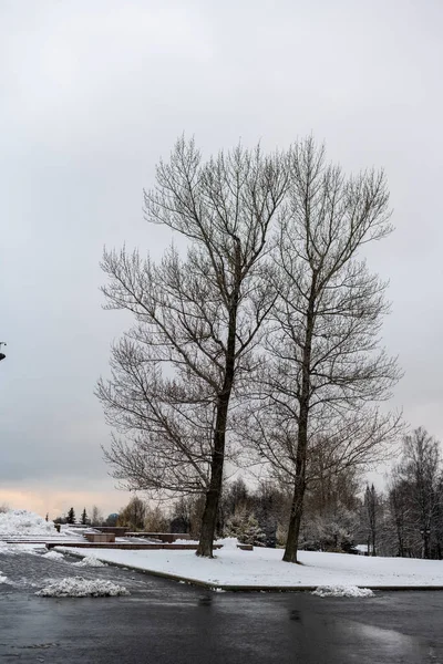 冬の初めの雪の後の都市公園の冬の風景 — ストック写真