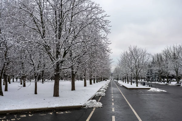 Paisagem Inverno Parque Cidade Depois Primeira Neve Início Inverno — Fotografia de Stock