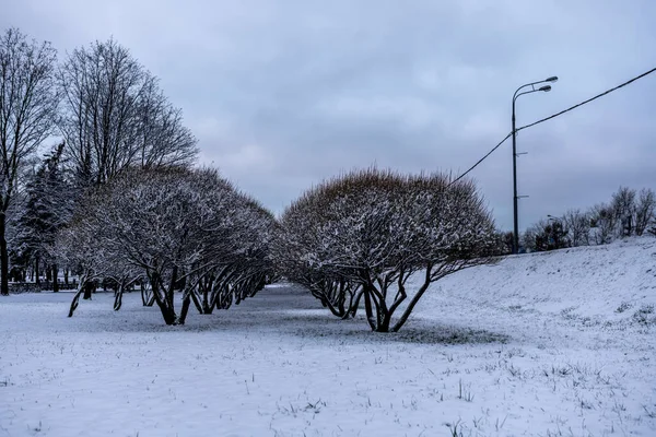 Paisagem Inverno Parque Cidade Depois Primeira Neve Início Inverno — Fotografia de Stock