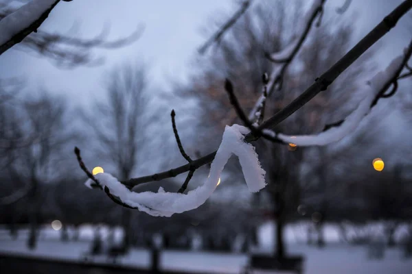 Paisagem Inverno Parque Cidade Depois Primeira Neve Início Inverno — Fotografia de Stock