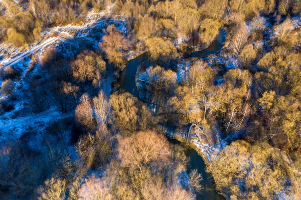 Foresta Parco Vegetazione Soleggiato Giorno Inverno — Foto Stock