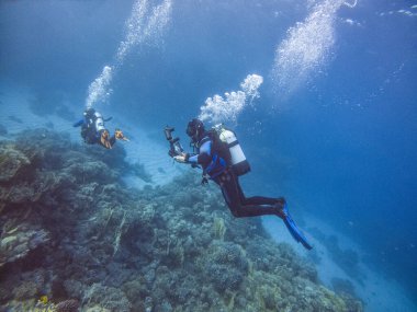 Dalgıç Kızıl Deniz 'deki bir mercan resifinde balık resimleri çekiyor.