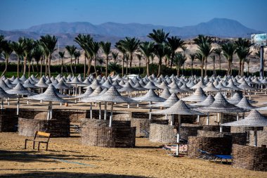 Kumsalda hasır şemsiyeli Kızıldeniz kıyısı.