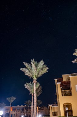 Palmiye ağaçlarının ve doğu binalarının arka planında gece yıldızlı gökyüzü