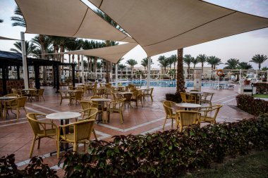 Mavi gökyüzüne karşı çiçekli ve palmiye ağaçlı park alanı