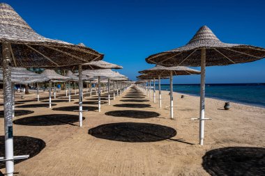 Hasır şemsiyeli ve mavi gökyüzüne karşı tatilci eksikliğiyle ıssız bir sahil.