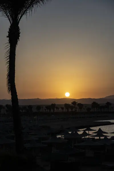 Sunset Background Palm Trees Beach Umbrellas Oriental Buildings — Stock Photo, Image