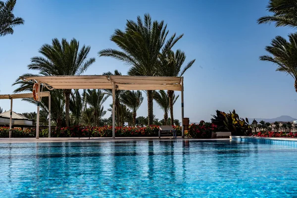 Vicino Alla Piscina Con Acqua Blu Uno Sfondo Palme Cielo — Foto Stock