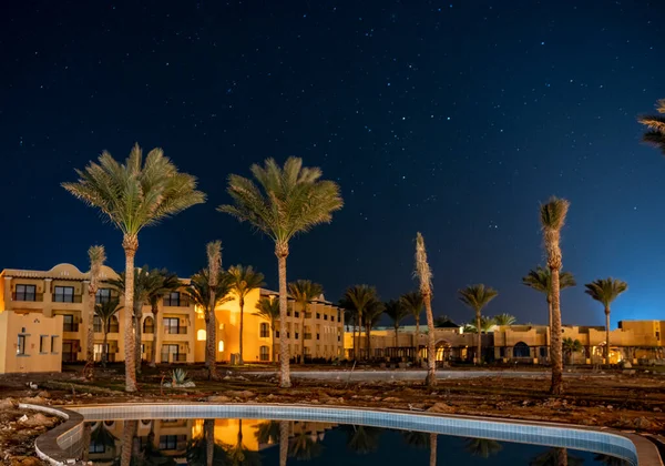Yeşil Palmiye Ağaçları Kumsalda Yıldızlarla Dolu Gece Göğü — Stok fotoğraf