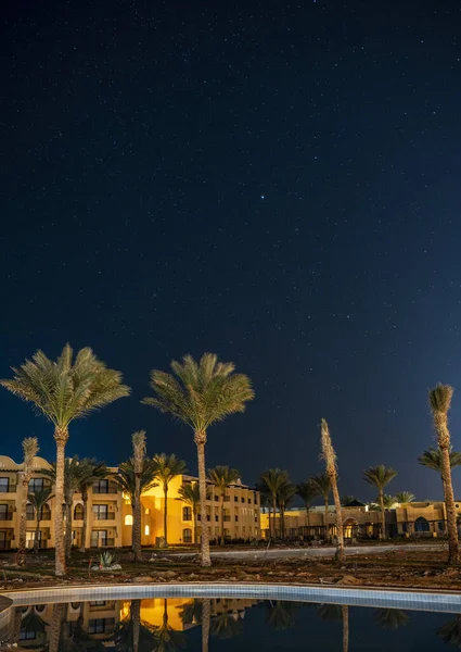 Céu Noturno Com Estrelas Fundo Palmeiras Verdes Praia — Fotografia de Stock