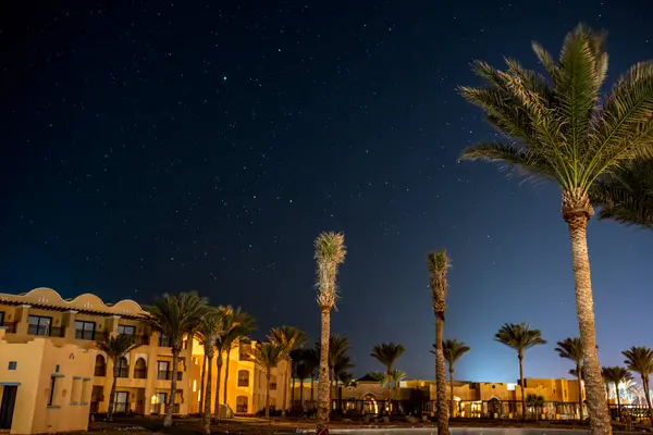 Cielo Nocturno Con Estrellas Fondo Palmeras Verdes Playa — Foto de Stock