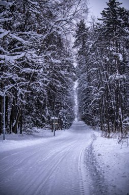 Kış sabahı manzara, her gece kar yağıyor.