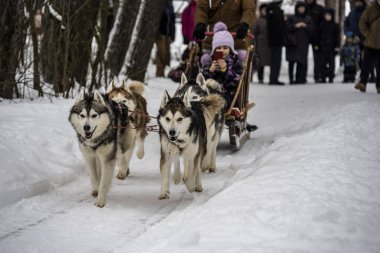 Gri şapkalı bir kadın ve mor şapkalı bir kız parkta karla kaplı patikalarda.