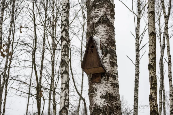 Fågelholkar För Fåglar Olika Former Och Storlekar Vinterskogen — Stockfoto