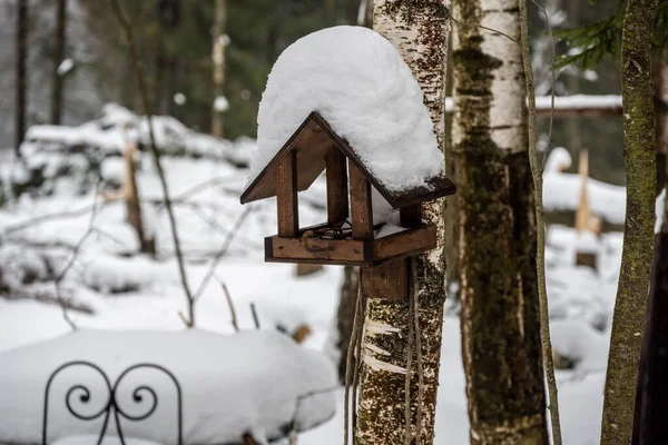 Vogelhäuschen Für Vögel Unterschiedlicher Formen Und Größen Winterwald — Stockfoto