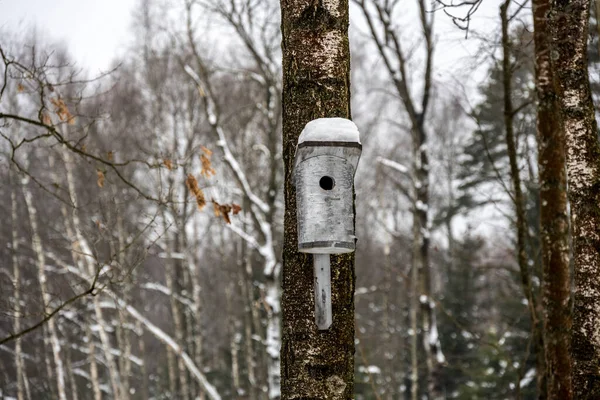 Ptačí Budky Pro Ptáky Různých Tvarů Velikostí Zimním Lese — Stock fotografie