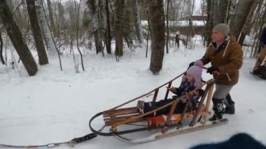 Ormandaki kar pistinde koşumlu, iri köpekler.