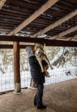 Büyük anne ve torun köpek kulübesinde Husky köpekleriyle.