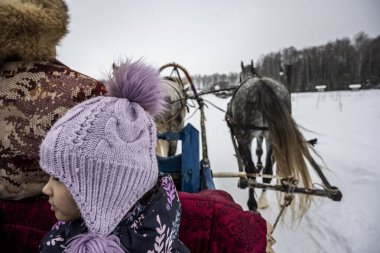 Kış kızak gezileri eko parkında üç at tarafından çizildi. 