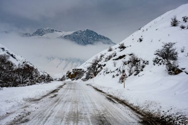 Kafkasya 'da kış dağlarının, geçitlerin ve karla kaplı ağaçların panoramik manzarası
