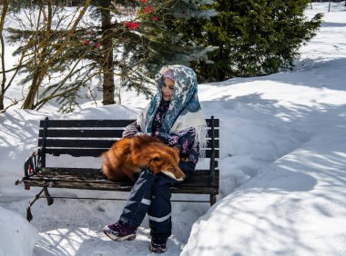 Güzel kız ve kızıl tilki kışın parkta karda oynarlar.