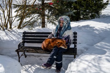 Güzel kız ve kızıl tilki kışın parkta karda oynarlar.