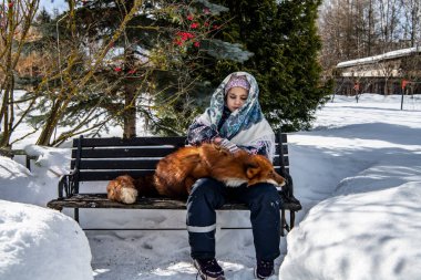 Güzel kız ve kızıl tilki kışın parkta karda oynarlar.