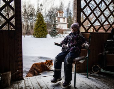 Güzel kız ve kızıl tilki kışın parkta karda oynarlar. 