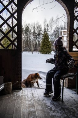 Güzel kız ve kızıl tilki kışın parkta karda oynarlar. 