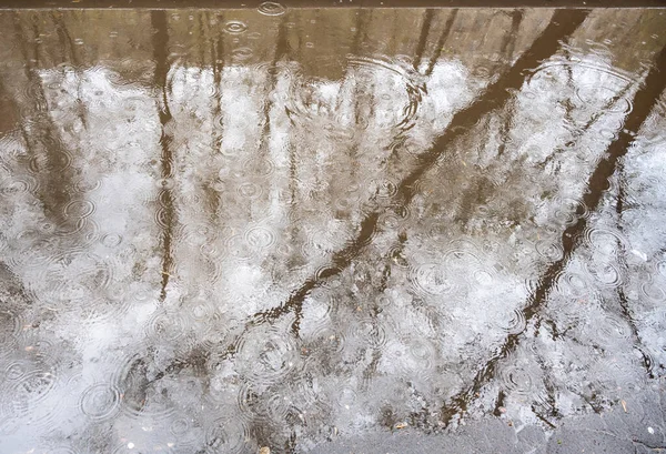 Det Första Regnet Faller Vårparken Och Träden Och Husen Reflekteras — Stockfoto