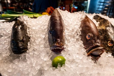 Buzda taze deniz balığı.