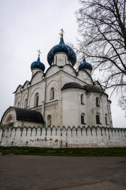 Kremlin kiliselerinin ve Suzdal 'daki eski evlerin panoramik görüntüsü 