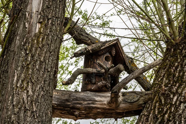 Fotografie Každodenního Života Provinčním Městě — Stock fotografie