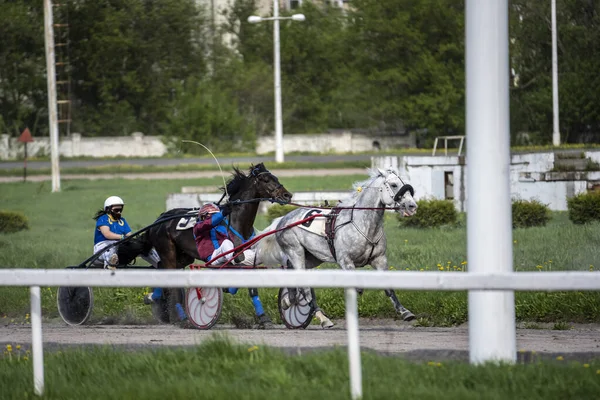 Belos Cavalos Corrida Abertura Temporada Pista Corridas Dia Ensolarado — Fotografia de Stock