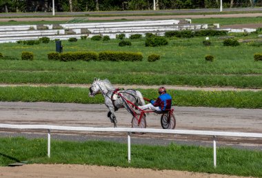 Güneşli bir günde, sezon açılışında hipodromda yarışan güzel atlar.