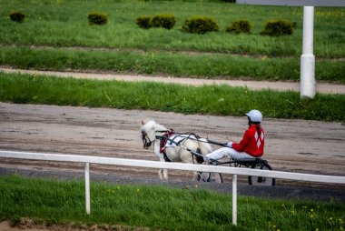 Güneşli bir günde çocukların midillisi hipodromda koşar.