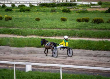 Güneşli bir günde çocukların midillisi hipodromda koşar.
