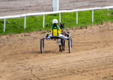 Güneşli bir günde çocukların midillisi hipodromda koşar.