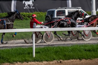 Güneşli bir bahar gününde yarış pistinde koşma hızı ve dinamiği nefes kesici.