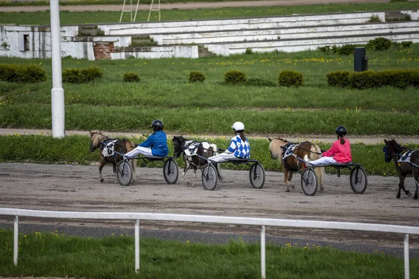 Pony Para Niños Corre Hipódromo Día Soleado —  Fotos de Stock