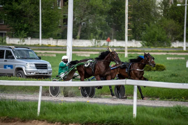 春の晴れた日に競馬場を走るスピードとダイナミクスには息をのむほどです — ストック写真