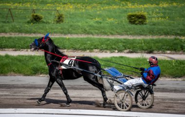 Yarış pistindeki taraftarlar favorilerini takip ediyorlar.