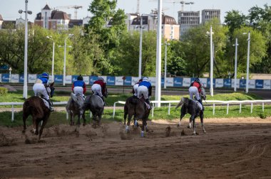 Güneşli bir günde Hipodrom 'da Arap atlarında kundakçılık yarışı